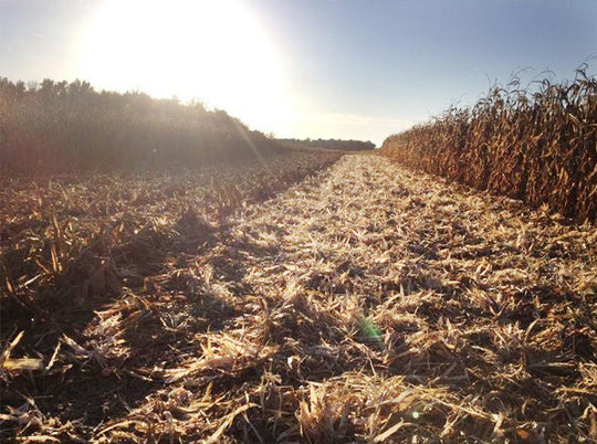 Managing Residue Starts in the Fall