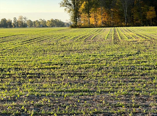 Sunshine Offers Great Window To Finish Harvest